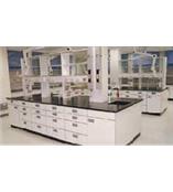 中央台 实验台 样品柜 药品柜 通风橱 实验边台