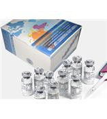 呋喃西林（SEM）檢測試劑盒