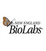 美国纽英伦 NEB限制性内切酶
