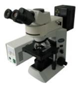 强烈推荐：荧光显微镜MF41