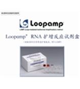 loopamp RNA 扩增反应试剂盒