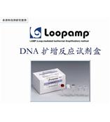 loopamp DNA 扩增反应试剂盒