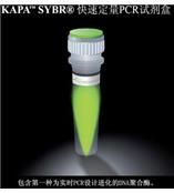 供应KAPA SYBR® 快速定量PCR试剂盒