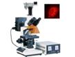 MF20落射荧光显微镜