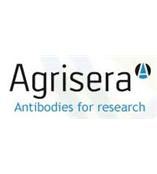 植物藻類及菌類抗體瑞典Agrisera