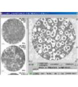 重庆金相监测分析仪