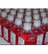 7 Iscove’s Modified Dulbecco’s Medium（IMDM）