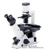 三目倒置显微镜 CKX41-F32FL|奥林巴斯OLYMPUS