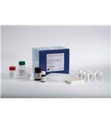 人鈣腔蛋白(CALU)ELISA Kit，人脫氧膠原吡啶交聯(DPD)ELISA Kit，人高密度脂蛋白(HDL)ELISA Kit