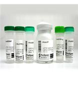 孕马血清促性腺激素（PMSG）,HOR-272,常年现货