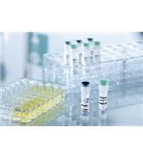 德国Biontex METAFECTENE® EASY（简易级）——哺乳动物细胞快速简易转染试剂