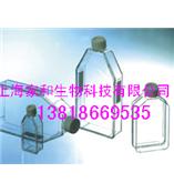 供应培养瓶 13818669535