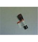 木聚糖酶/Xylanase