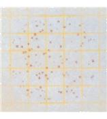 64063M Petrifilm 菌落总数测试片