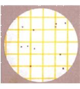 6491 3M Petrifilm金黄色葡萄球菌测试片