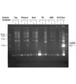 Lucigen高品质DNA聚合酶PyroPhage® 3173