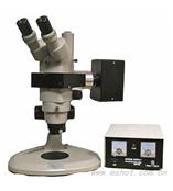 荧光体视显微镜 MZX80