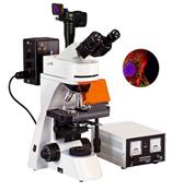 FM-40系列研究型正置熒光顯微鏡|合肥密維廠家直銷正置熒光顯微鏡|顯微鏡廠家|光學儀器|顯微鏡制造商