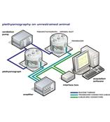 清醒动物呼吸测量系统