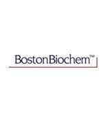 供应Boston Biochem 试剂