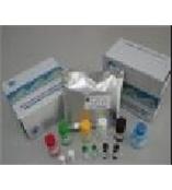 小鼠脑钠素/脑钠尿肽(BNP)ELISA试剂盒（96T）