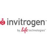  Invitrogen PureLin系列核酸纯化产品