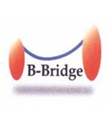 B-Bridge 品牌代理