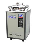 深圳压力蒸汽灭菌器/深圳不锈钢灭菌器/LDZX-30FB灭菌器/广东
