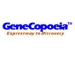 美國GeneCopoeia miRNA靶標的篩選及確證