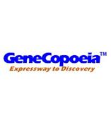 美國GeneCopoeia miRNA靶標的篩選及確證