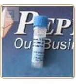 peprotech  100-18B      重组人碱性成纤维细胞生长因子Recombinant Human FGF-basic