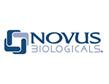 Novus抗體
