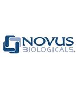 Novus抗体