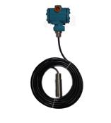 FWP-T20L投入式静压液位变送器（投入式液位计）