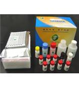 呋喃妥因检测试剂盒