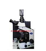 奧林巴斯數碼生物顯微鏡CX21底價銷售 北京山東河南河北