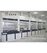 廣州偉昌實驗設備——實驗室家具/鋼木排毒柜/通風柜