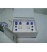 人γ干扰素(IFN-γ)Elisa试剂盒