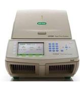 美國BIO-RAD  CFX96  實時熒光定量PCR儀