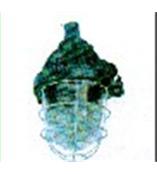 隔爆型防爆照明灯具K300028