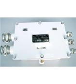 隔爆本安电源K300017