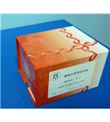 ECL化学发光检测试剂盒 Western Blotting  （现货 报价 参数 说明 规格）