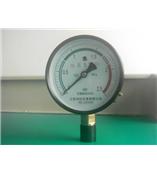 氫氣壓力表YQ-100---江蘇潤儀儀表專業生產