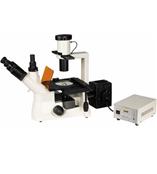 DM-10倒置熒光顯微鏡