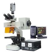 FM-7型     研究型熒光顯微鏡