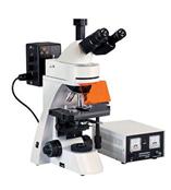 XFM-30型      熒光顯微鏡