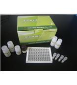 人广谱细胞角蛋白(P-CK)ELISA Kit