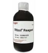 Trizol Reagent 总RNA提取试剂