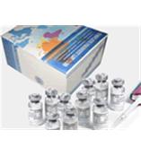 Annexin V-FITC/PI Apoptosis Kit（双染凋亡试剂盒，25T）