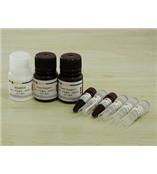 美国Bellancom-T4799,胰蛋白酶,CAS 9002-07-7